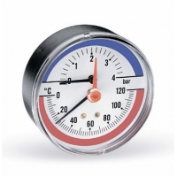 Термоманометр WATTS TMAX 6 0-6 bar/0+120C
